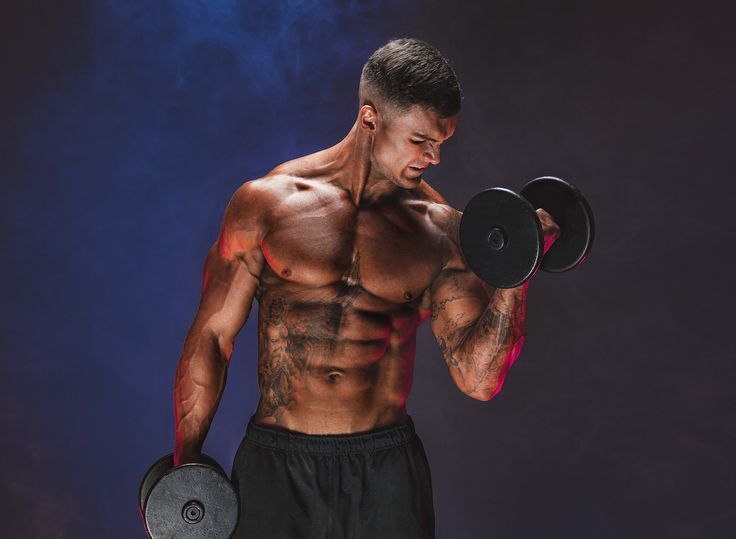Beginner’s Guide to Building Strength and Staying Consistent in Fitness